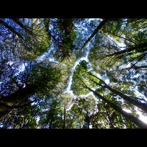 Meet your Posher, Tricia